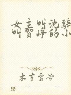 女主叫沈辞男主叫贺峥的小说