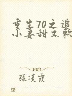 重生70之追夫小妻甜又软
