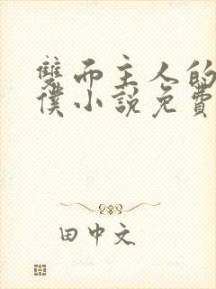 双面主人的小女仆小说免费阅读