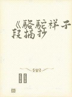 《骆驼祥子》好段摘抄