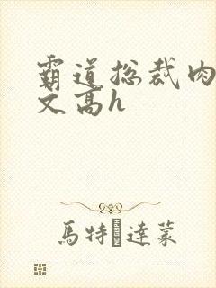 霸道总裁肉多荤文高h