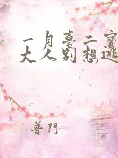 一月台二宝老婆大人别想逃大结局
