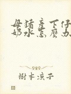 母猪产下仔猪无奶水怎么办