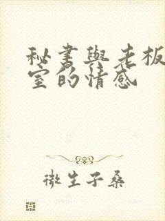 秘书与老板办公室的情感