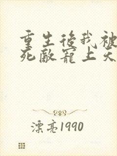 重生后我被渣男死敌宠上天