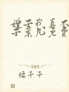 嫂子我真不是傻子叶凡免费下载