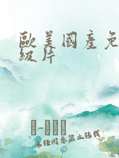 欧美国产免费一级片