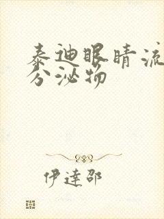 泰迪眼睛流黄色分泌物