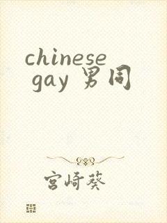 chinese gay 男同