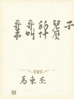 哥哥的儿子叫弟弟叫什么