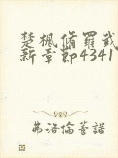 楚枫修罗武神最新章节4341