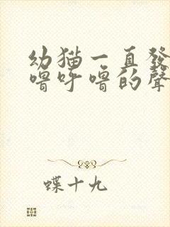 幼猫一直发出呼噜呼噜的声音