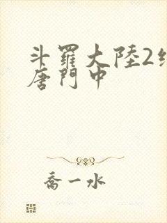 斗罗大陆2绝世唐门中