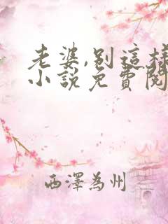 老婆,别这样 小说免费阅读