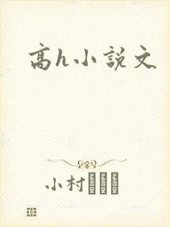 高h小说文