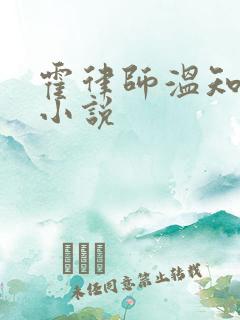 霍律师温知羽的小说