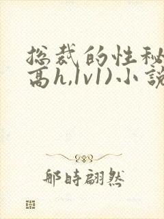 总裁的性秘书(高h,1v1)小说