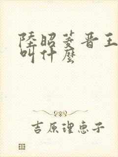 陆昭菱晋王小说叫什么