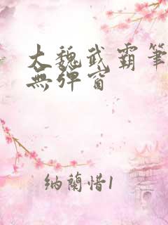 大魏武霸笔趣阁无弹窗