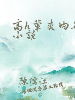 高h荤爽肉欲文小说