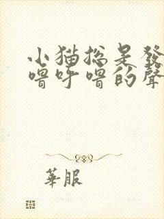 小猫总是发出呼噜呼噜的声音是怎么回事