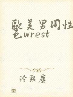 欧美男同性恋黄色wrest