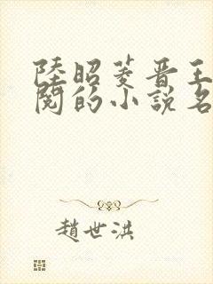 陆昭菱晋王周时阅的小说名