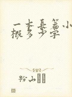 一本长篇小说大概多少字