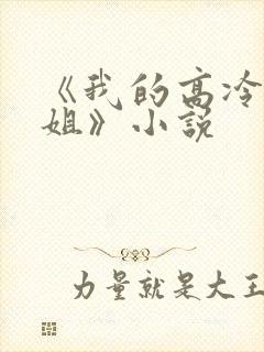 《我的高冷大小姐》小说