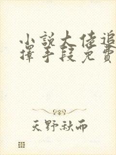 小说大佬追妻不择手段免费看