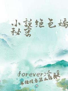 小说绝色娇妻的秘密