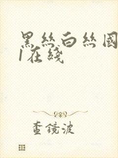 黑丝白丝国产91在线