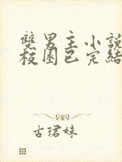 双男主小说推荐校园已完结