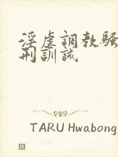 淫虐调教骚奴淫刑训诫