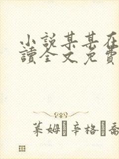 小说某某在线阅读全文免费