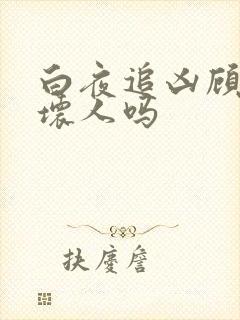 白夜追凶顾局是坏人吗