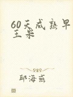 60天成熟早熟玉米