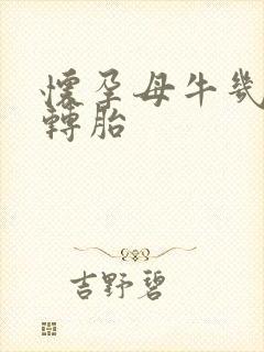 怀孕母牛几个月转胎