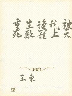 重生后我被渣男死敌宠上天