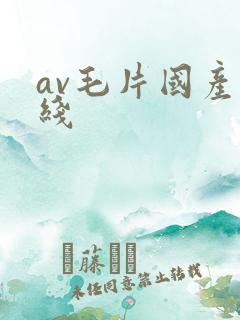 av毛片国产在线