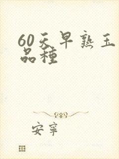 60天早熟玉米品种