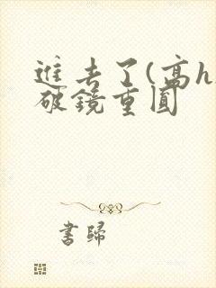 进去了(高h)破镜重圆