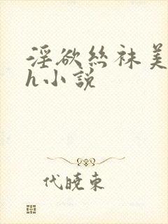 淫欲丝袜美腿高h小说