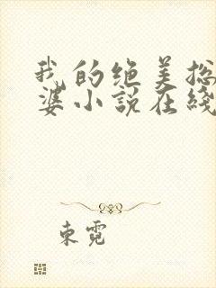 我的绝美总裁老婆小说在线阅读