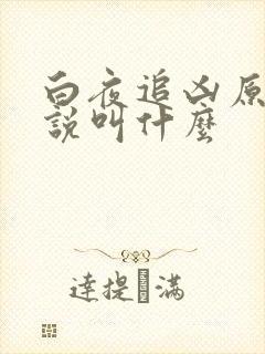 白夜追凶原著小说叫什么