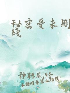 秘密爱未删减在线