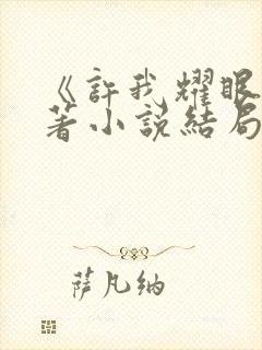 《许我耀眼》原著小说结局