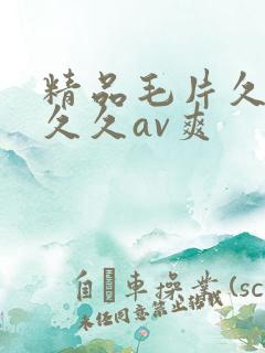 精品毛片久久久久久av爽