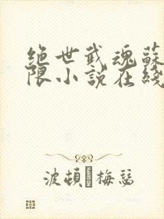 绝世武魂苏莫无限小说在线阅读