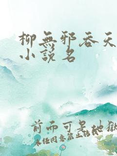 柳无邪吞天神鼎小说名